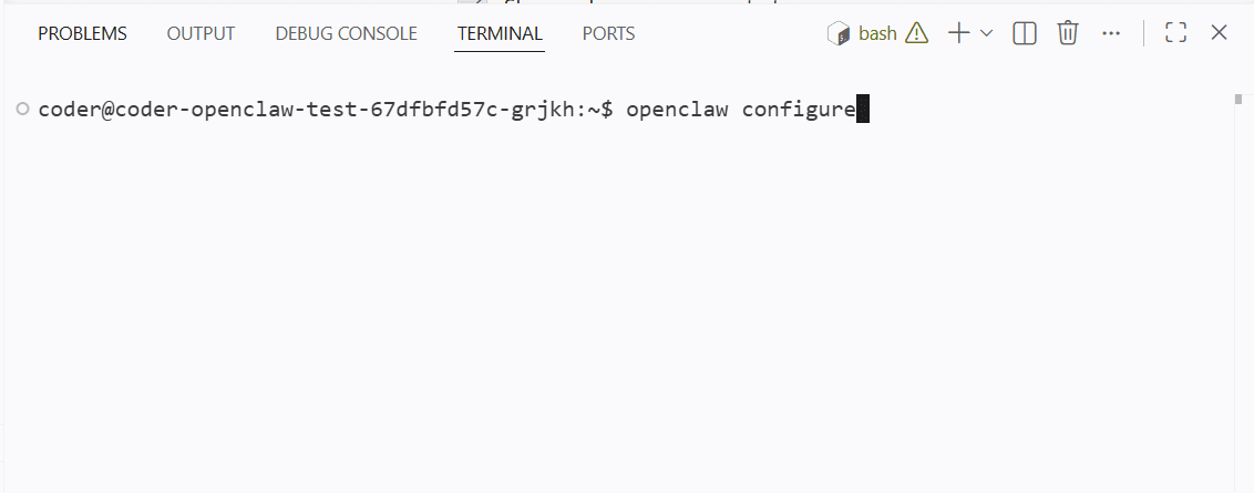 Running openclaw configure in the terminal