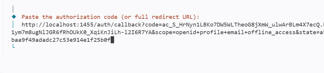 Pasting the redirect URI in the terminal