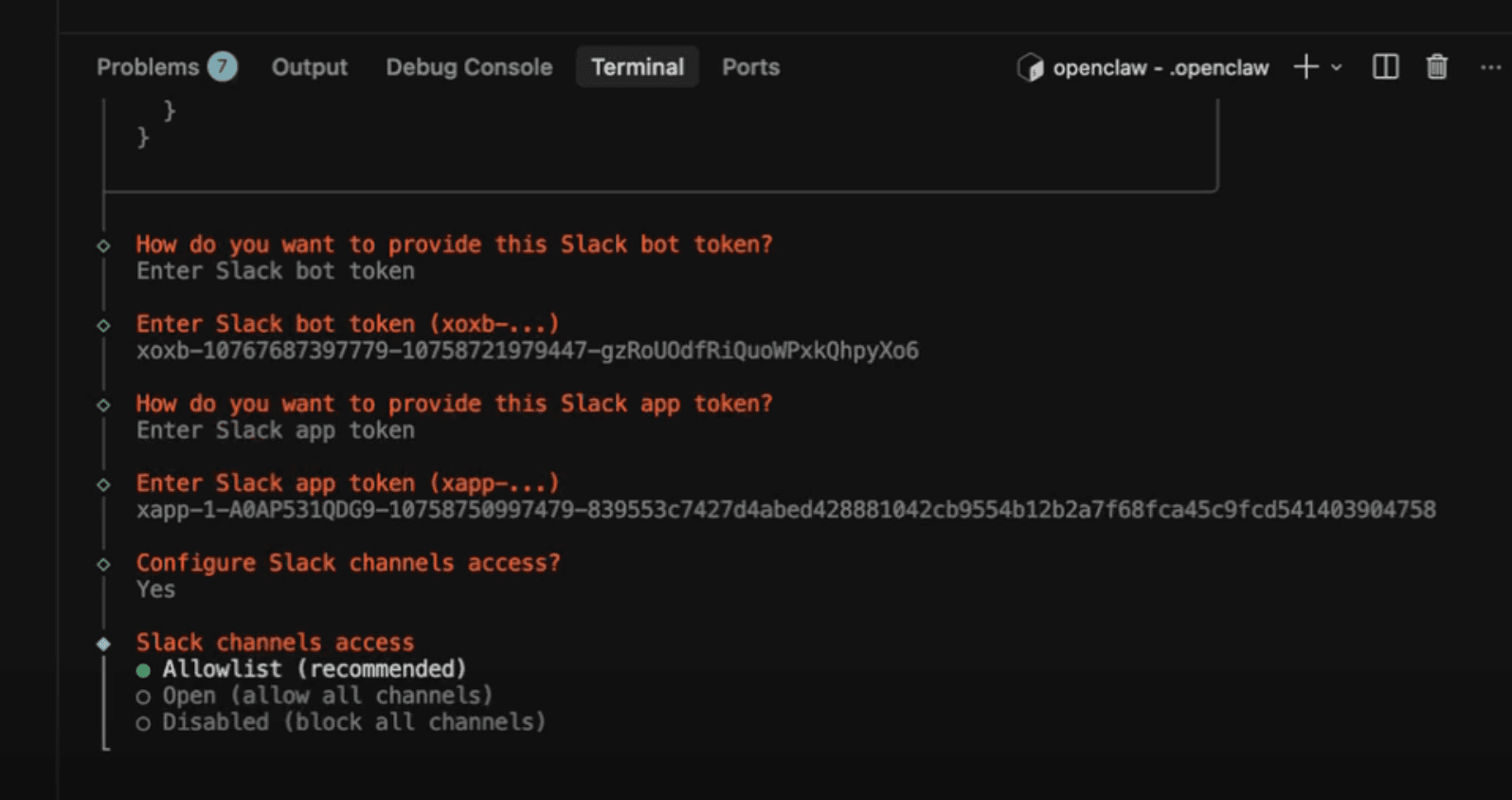 OpenClaw config terminal